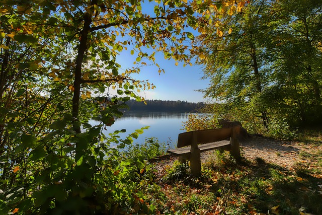 約的談判過 約的談判過