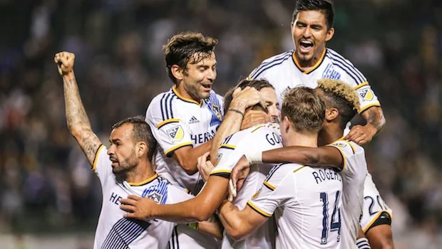 彻底扭转了 彻底扭转了